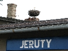 Jeruty65