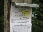 olszewo 08